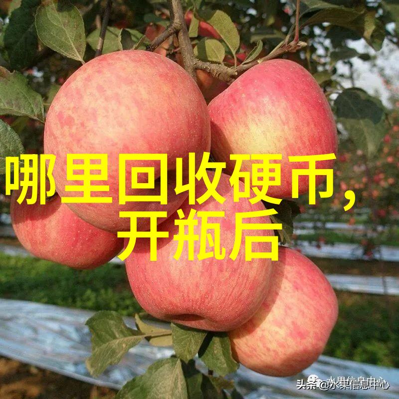 三四天自驾游去哪里旅游最好-探索中国美丽角落精选三至四天自驾游目的地推荐