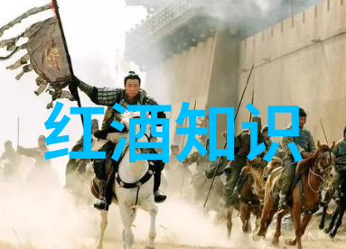 甘肃玉米种子十大品种亲测那些让农户头疼又心动的好货