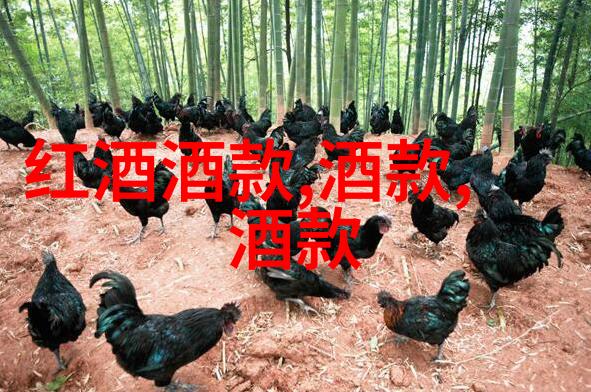 北京庄园是几环遥望古都的回响