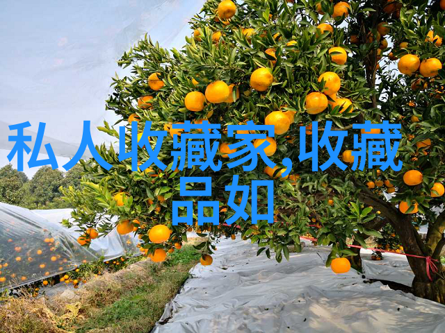 专项训练与综合实践使用139问答题库的策略