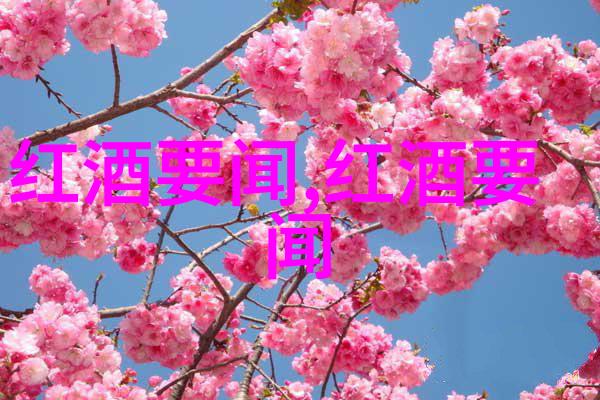 宠儿的故事从娇宠到忠犬