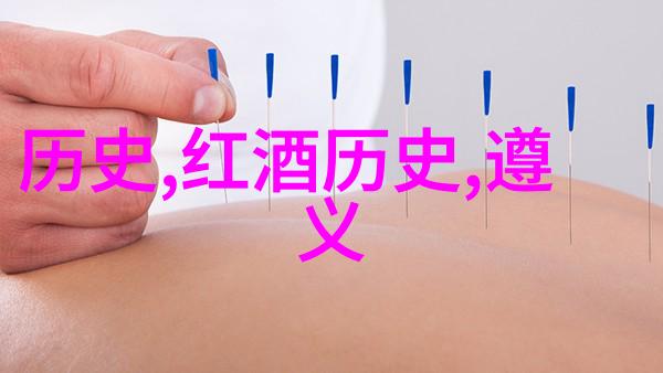 5hhhh-数字与声音的和谐探索5hhhh文化中的音乐与技术融合
