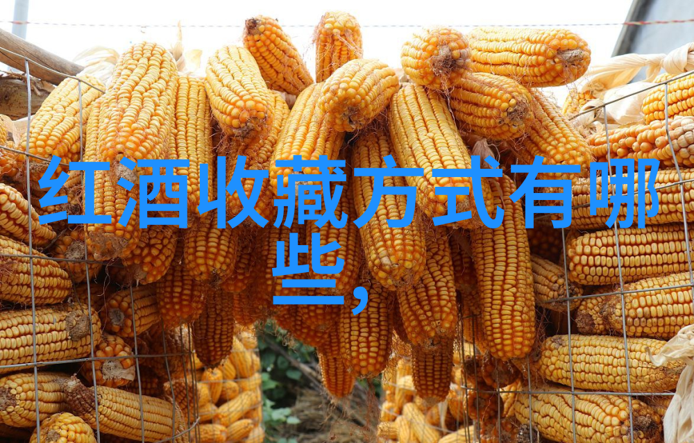 全球贸易规则与国家利益的博弈一项国际经济法案例研究