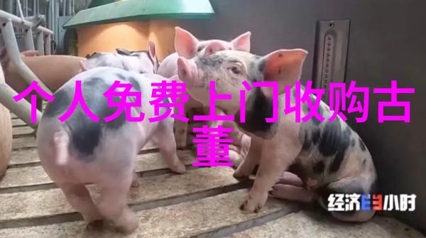 我的收藏店铺我家的宝贝角落收藏店铺的故事