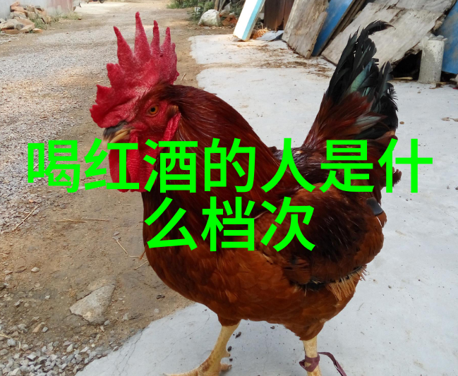 律师酒庄欧洲十大宫殿的豪华盛宴