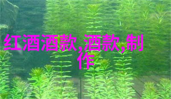 上海周边小镇探秘揭秘那些隐藏在繁华背后的美丽景点