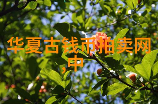 中国古代豪门巨擘们留下的宝库揭秘他们的居所和财富来源