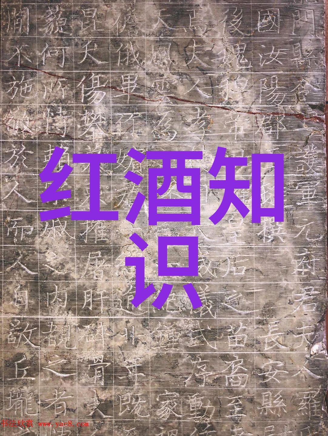 兰州庄园乳业官网文多瑞酒庄反复绘制葡萄收获的生机与热情