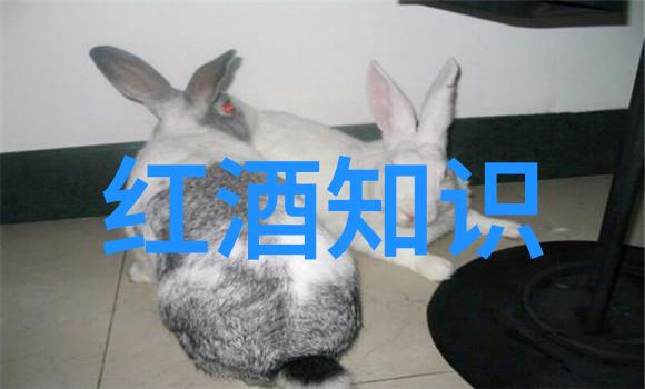 世界葡萄酒产区排名你知道吗这次我要带你去探索一个酿造梦想的秘密花园全球最棒的葡萄酒产地