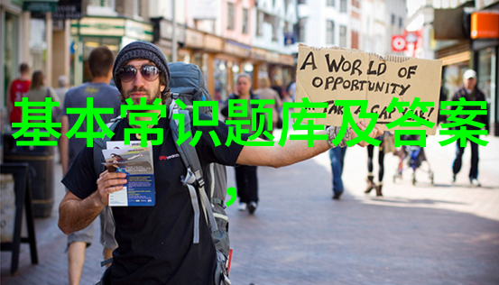 动漫人物图片q版-Q版魔法少女的魅力探索简约风格动画角色艺术