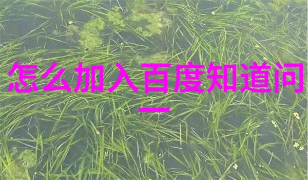 富尔默酒庄在自然的怀抱中我庄园的500提现之旅