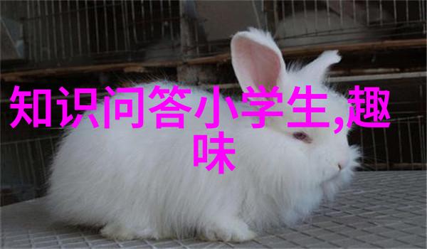 中式庄园设计效果图我家的古典梦境翠绿竹影下赏荷一时