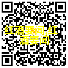 双翼共同飞翔两个人一前一后的力量与梦想