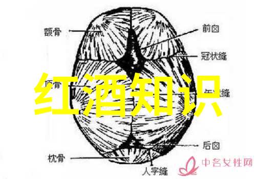 世界上第一瓶红酒出自哪里我走访了古巴的糖料园区揭秘那首发明葡萄酒的传奇故事