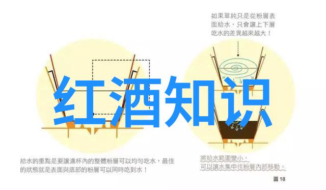 猫咪品种大全探索全球最受欢迎的宠物家伙