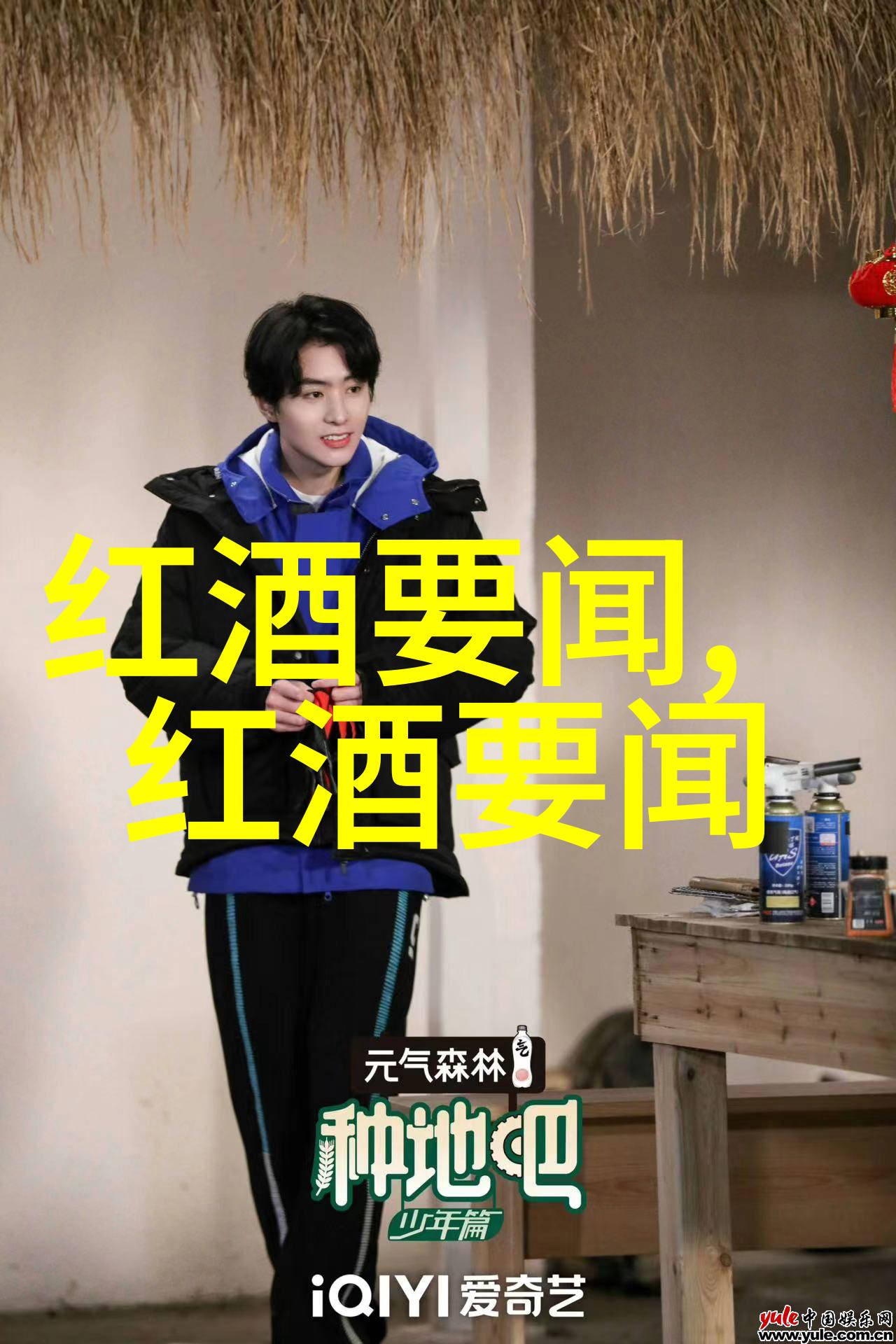 猫的种类一共有多少种我告诉你猫咪竟然这么多种
