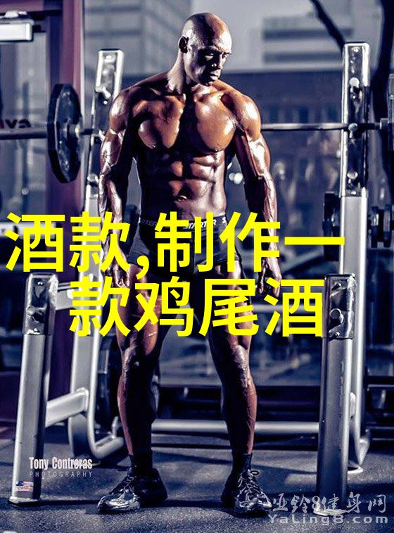 沙漠之光与星辰的梦巴勒斯坦历史的双重奏鸣