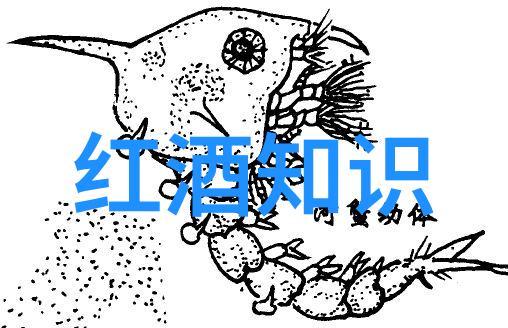 葡萄酒世界的宝地探索知名产区的魅力
