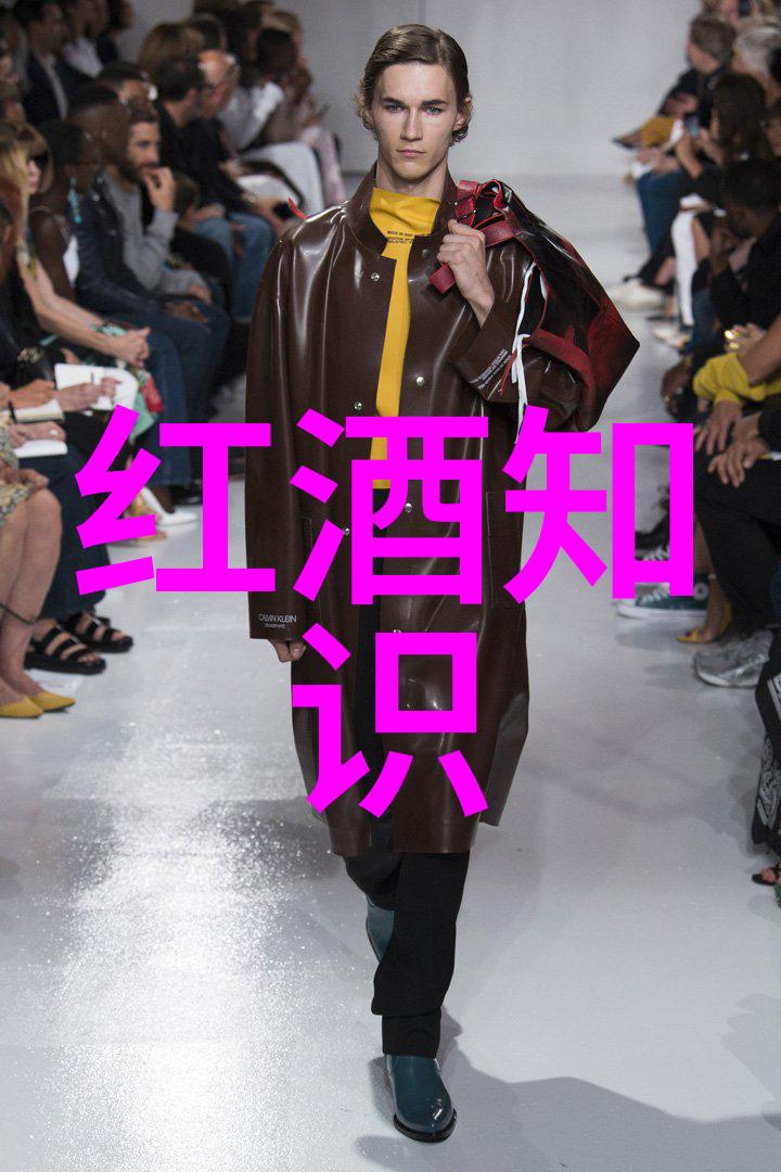 主题我去法国最大的葡萄酒产地探秘记从田间到瓶中品味纯粹的美好