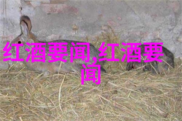 全球红酒产区中的莫雷与圣丹尼双重美味相互辉映