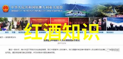 人力红酒知识-醉心于葡萄之歌深度解析红酒品鉴与文化