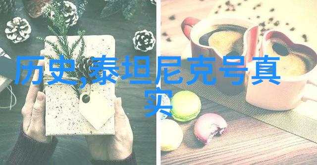 收藏家小说探索书籍世界的奇妙冒险
