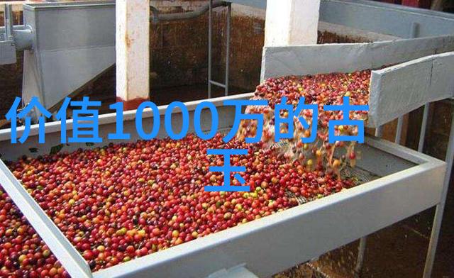 法国葡萄酒的香气品味欧洲最美丽的葡萄园