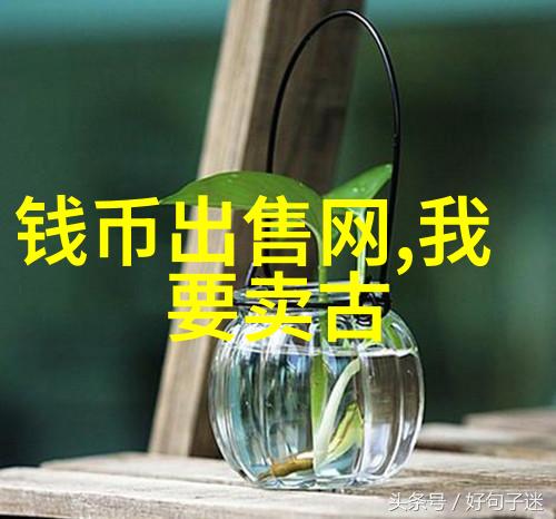 玉米品种资料汇编探索丰收的基因