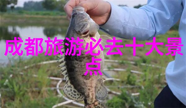 干邑与巧克力的天作之合