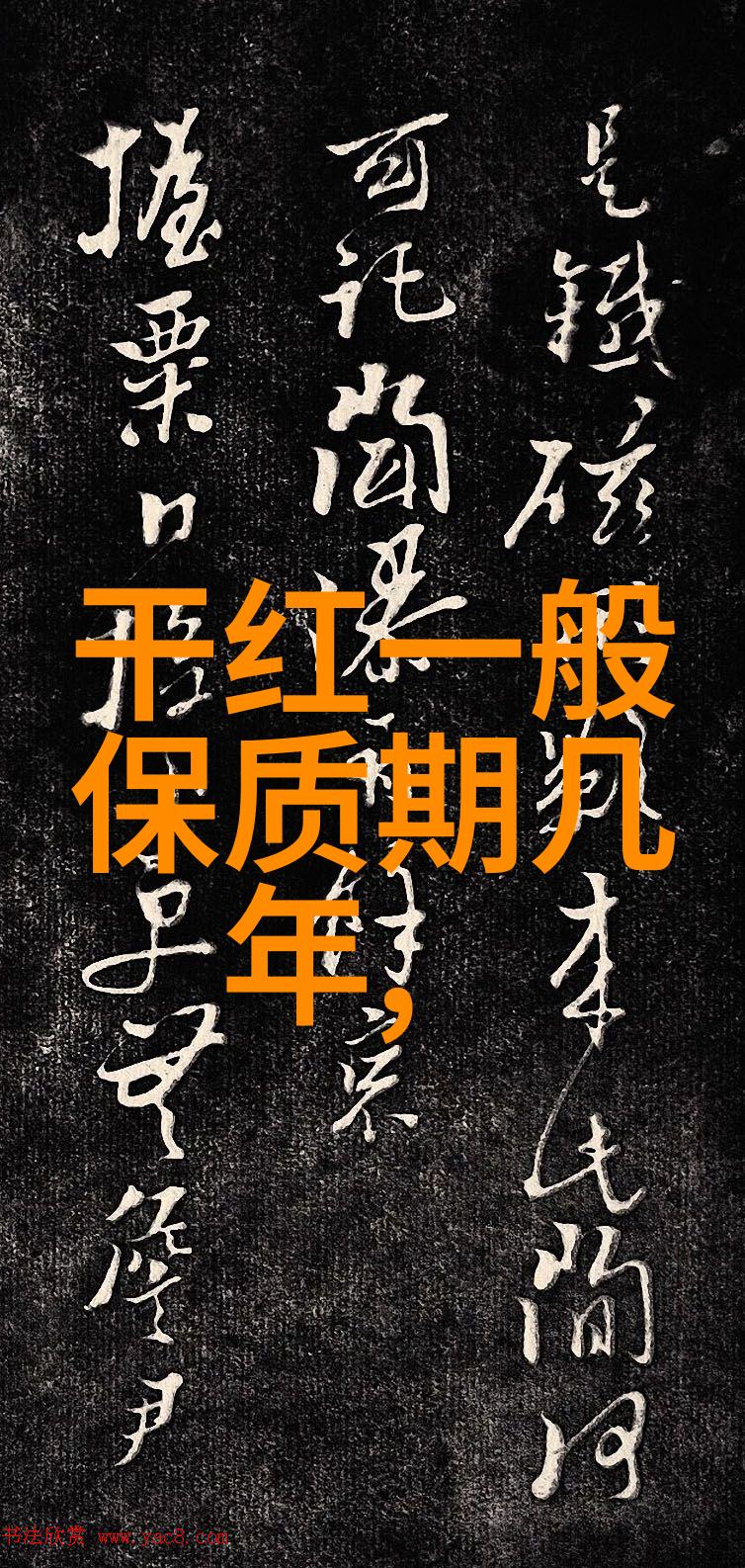 中华魂中国十大爱国人物的光辉篇章