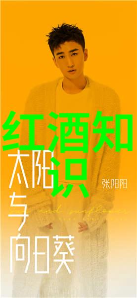 电视观影体验-亲拥上方一摸下方探索电视新式互动