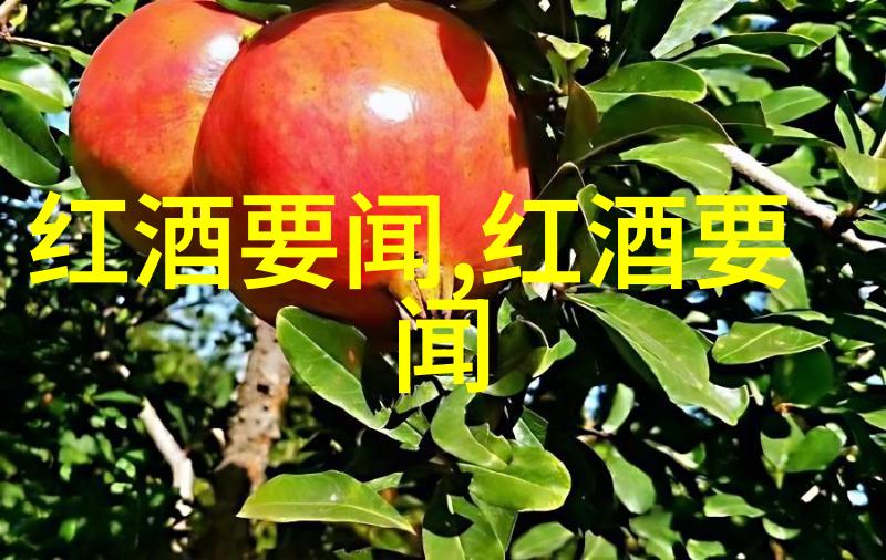 中国红酒厂家招商网在北京海淀设立了多座葡萄酒博物馆它们就像勤劳的工作者24小时不停歇地向着每一个愿意