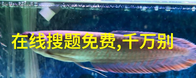沪深300指数的神秘一手揭秘股市的数字密码