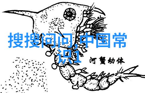 探索上海周边一趟轻松愉快的休闲旅行