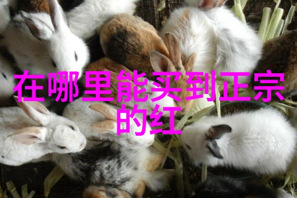 从繁华都市到田园风光上海周边的秘密宝藏