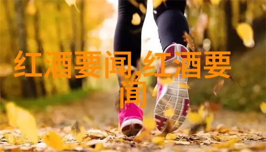 一杯香槟一段传奇法兰西岛上的酿造艺术