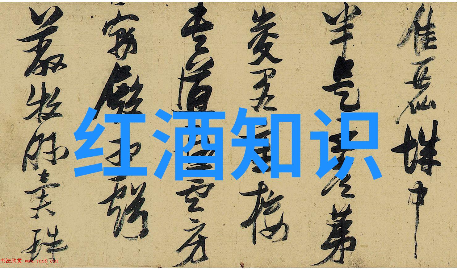 上海周边的秘密花园探索江南水乡的美丽角落