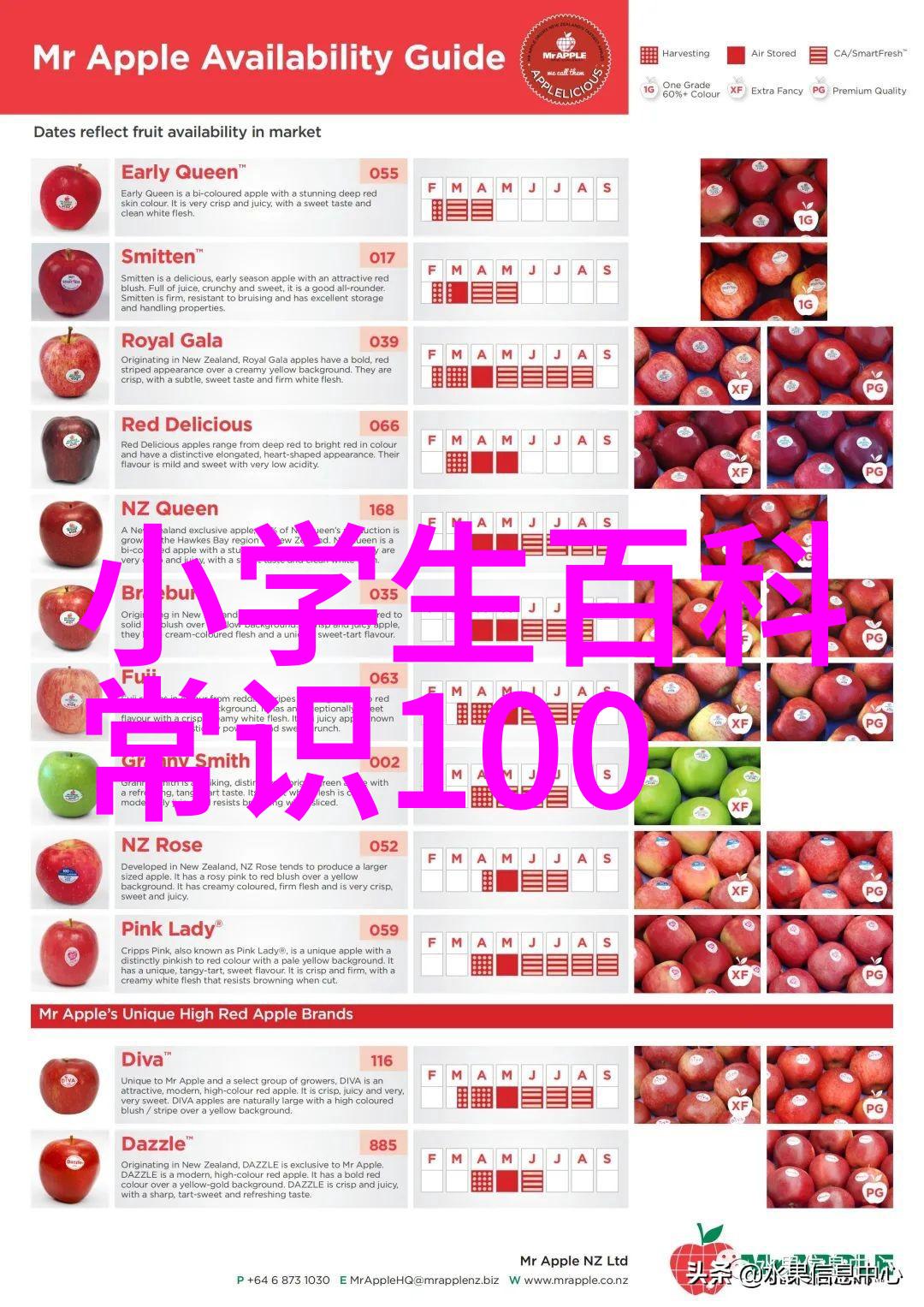 东莞十大免费景区口袋里的秘密花园