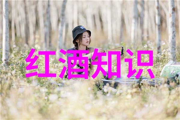 我在超市看到的杨梅酒价格