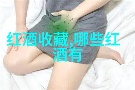 探索时空的长河中国历史朝代序列的演变与影响