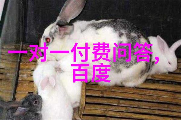 惊魂一刻重拾记忆中的瞬间解析图片库数据备份技巧