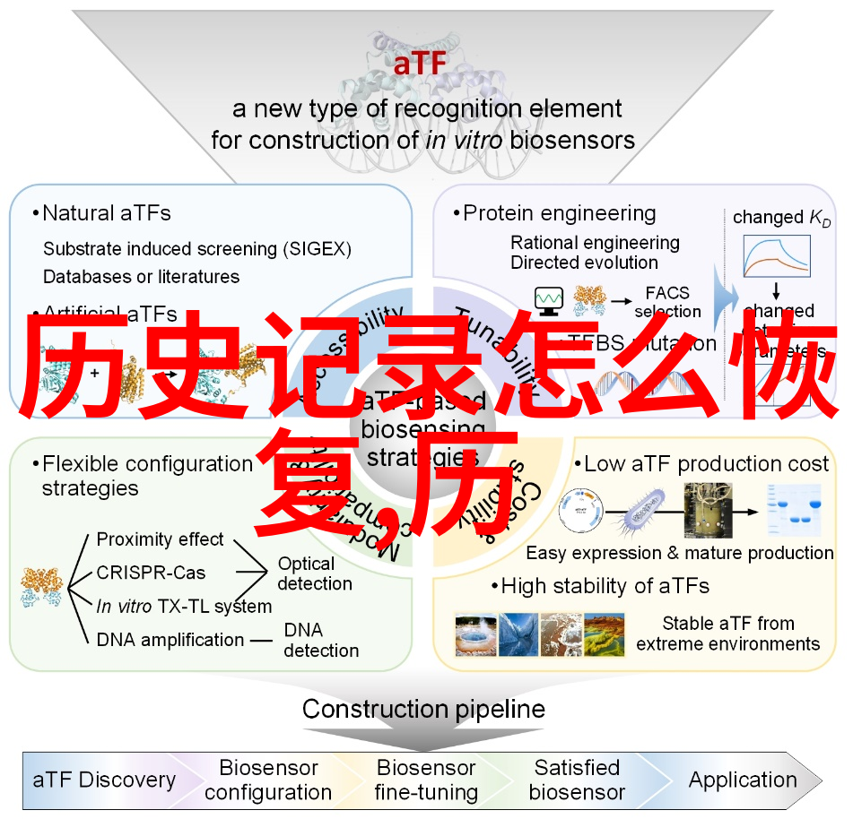 历史课本复习之旅回顾八年级上册知识点