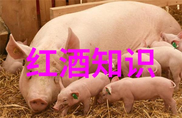 百度知道首页我要去哪儿
