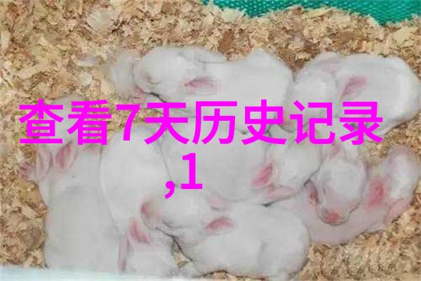 探索唐顿庄园的复杂人际网络揭秘家族成员间的纠葛与情感交织