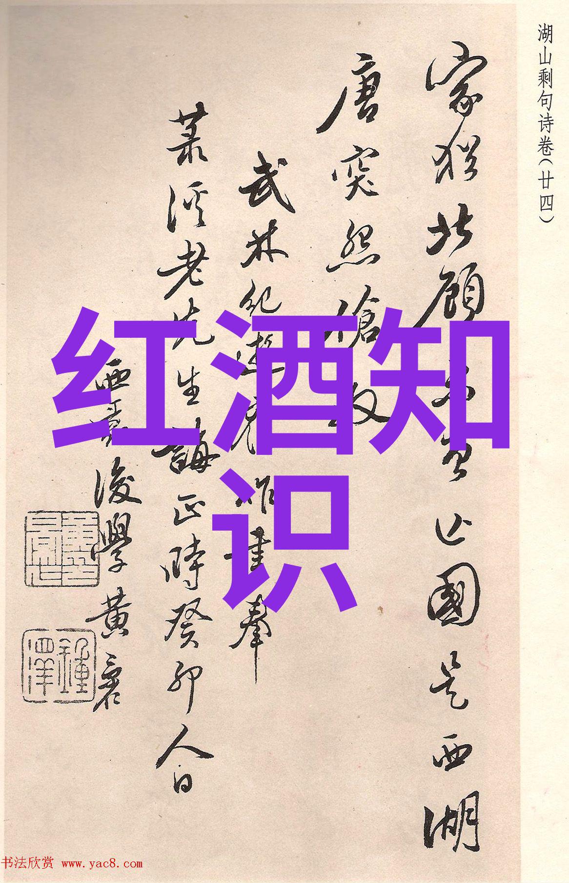 疫情迷雾中的边界纠缠