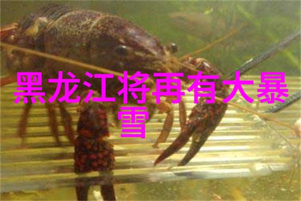 重生者狂想曲txt-穿梭时空的奇缘重生者狂想曲探秘