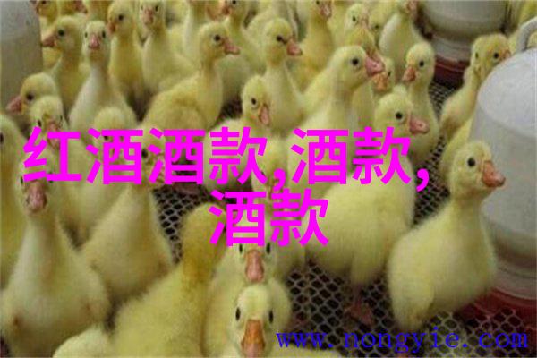 知识之源问答界的先行者