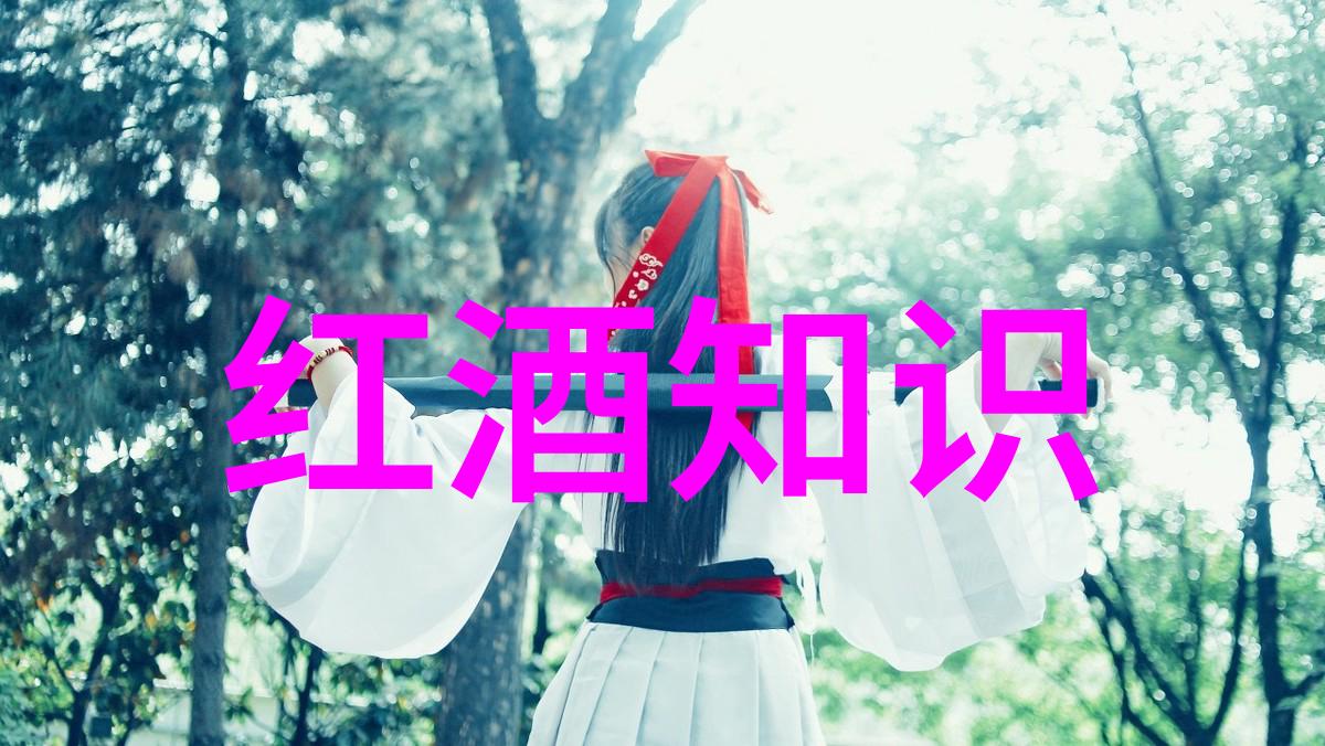 分解区域差异化定位策略提升社区内外部需求引导性和吸引力