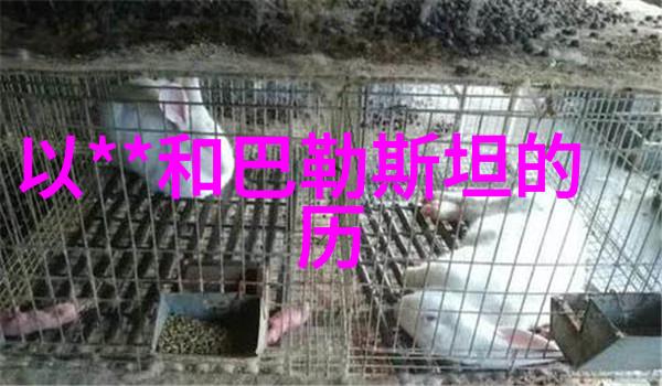 探秘猫的十大品种从埃及猫到斯芬克斯领略宠物世界的多样魅力