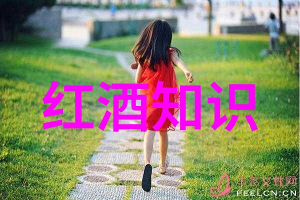 巴黎光辉探索法国最突出的文化特色